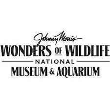 Wonders of Wildlife