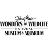 Wonders of Wildlife